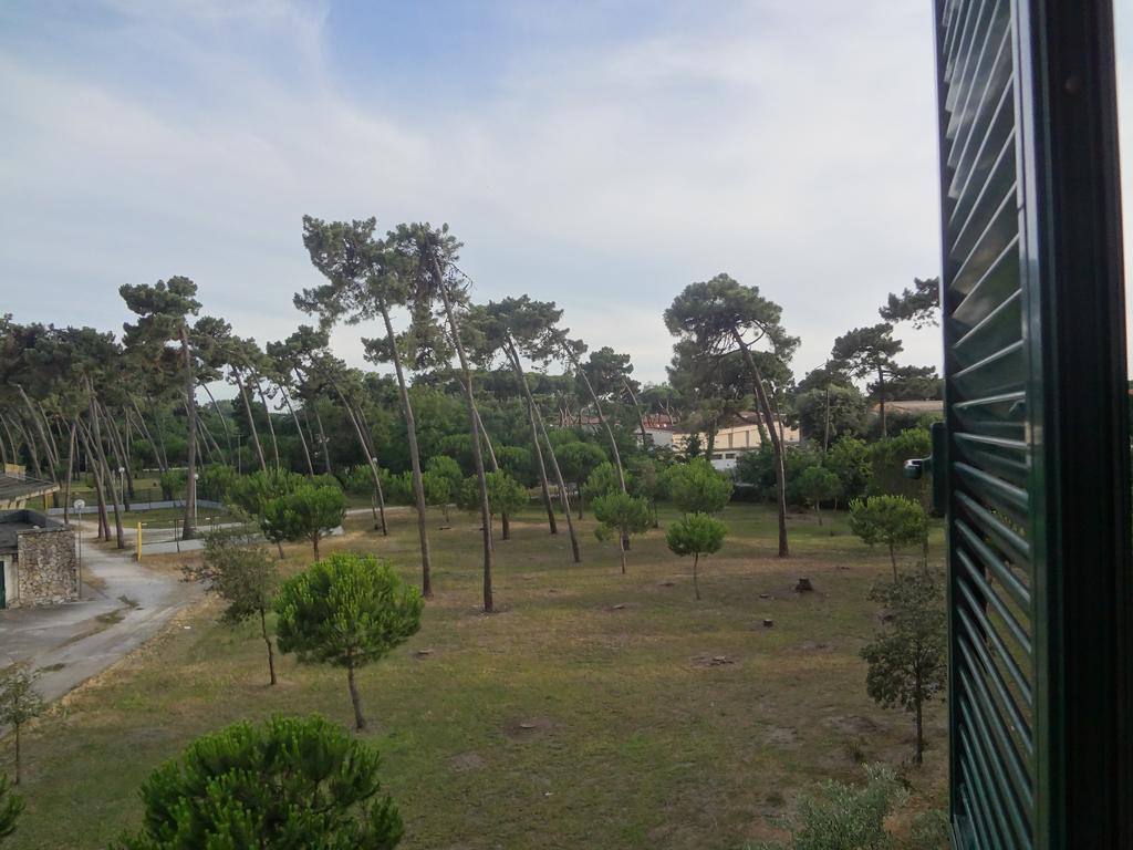 La Pineta Apartment Βιαρέτζιο Εξωτερικό φωτογραφία